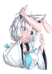  ahoge animal_ear_fluff animal_ears blue_neckerchief blush braid commentary_request detached_sleeves female fox_ears fox_girl fox_tail green_eyes hair_between_eyes hand_on_another&#039;s_ear highres hololive hood hoodie ikamoworkshop long_hair neckerchief pov pov_hands rubbing_ears shirakami_fubuki shirakami_fubuki_(1st_costume) sidelocks simple_background single_braid solo_focus tail virtual_youtuber white_background white_hair white_hoodie 