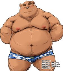  2016 anthro barazoku bear belly big_belly blush brown_bear bulge closed_eyes clothing front_view grizzly_bear hands_behind_back hi_res japanese_text kemono kneeling kotobuki looking_at_viewer male mammal muscular muscular_anthro muscular_male obese obese_anthro obese_male overweight overweight_anthro overweight_male portrait simple_background solo swimming_trunks swimwear text three-quarter_portrait ursine white_background 