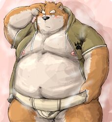  2016 anthro asian_clothing barazoku belly big_belly blush bodily_fluids canid canine canis clothed clothing domestic_dog east_asian_clothing fundoshi hand_on_head hoodie japanese_clothing kemono kotobuki looking_aside male mammal mawashi muscular muscular_anthro muscular_male nose_steam obese obese_anthro obese_male overweight overweight_anthro overweight_male partially_clothed portrait simple_background solo sumo sweat three-quarter_portrait topwear underwear white_clothing white_underwear 