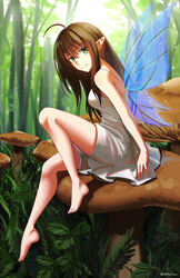  absurdres ahoge bare_arms bare_shoulders barefoot blue_wings breasts brown_hair closed_mouth commentary day dress fairy fairy_wings female forest full_body green_eyes hair_between_eyes highres knee_up medium_breasts mini_person minigirl mushroom nature ndtwofives on_mushroom original outdoors pointy_ears sitting sitting_on_mushroom sleeveless sleeveless_dress smile solo transparent_wings twitter_username white_dress wings 