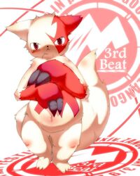  2011 4:5 blush english_text generation_3_pokemon looking_at_viewer male nintendo okunawa pokemon pokemon_(species) simple_background slightly_chubby solo standing tail text white_background zangoose zangoose_day 