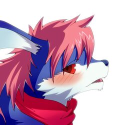  1:1 2011 blue_body blue_fur blush bushiroad cardfight!!_vanguard fur hair head_wings looking_at_viewer male okunawa open_mouth pink_hair red_eyes scarf simple_background solo white_background white_body white_fur wingal wings 