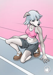  anthro black_nose bra brown_clothing brown_footwear brown_shoes canid canine canis clothing digital_media_(artwork) domestic_dog female footwear grey_body grey_eyes grey_hair grey_skin hair hand_on_leg hi_res hunting_dog kneeling mammal midriff mysticalpha navel pink_bra pink_clothing pink_underwear shoes sighthound signature simple_background solo sports_bra text underwear url whippet 