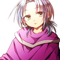  1boy blue_hair chrono_trigger commentary_request green_eyes janus_zeal kimita_(kiokunoumi) long_hair looking_at_viewer male_focus parted_lips ponytail purple_robe robe simple_background solo surprised white_background white_hair 