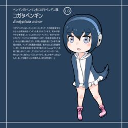  absurdres aki_fukukaze black_hair blue_background blue_hair boots commentary_request female full_body gloves grey_eyes headphones highres kemono_friends little_penguin multicolored_hair open_mouth original partially_translated penguin_tail personification purple_eyes scientific_name solo tail translation_request two-tone_hair yoshizaki_mine_(style) 