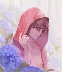  1boy brown_hair flower granblue_fantasy hair_between_eyes highres hood hood_up hoodie hydrangea looking_at_viewer male_focus outdoors plant purple_flower rain red_eyes sandalphon_(granblue_fantasy) solo tekki_(tki) tree water_drop 