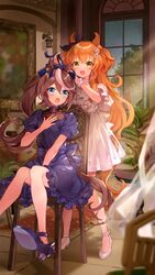  2girls animal_ears between_legs black_ribbon blue_dress blue_eyes blue_footwear blurry blurry_foreground brown_hair chair commentary curtains depth_of_field dress ear_ribbon flower hair_between_eyes hair_flower hair_ornament hand_between_legs high_heels highres horse_ears horse_girl horse_tail indoors long_hair mayano_top_gun_(umamusume) multicolored_hair multiple_girls on_chair orange_hair ponytail puffy_short_sleeves puffy_sleeves ribbon shoe_soles shoes short_sleeves sitting streaked_hair table tail tokai_teio_(umamusume) two_side_up umamusume very_long_hair white_dress white_flower white_footwear white_hair window wrist_cuffs yellow_eyes yoshida_(ne) 