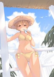  annin_miru bare_arms bare_shoulders bikini bird blue_sky breasts brown_eyes brown_hair cleavage cloud cloudy_sky collarbone commentary day female food front-tie_bikini_top front-tie_top groin hat highres holding holding_food indie_virtual_youtuber looking_at_viewer maka_neko medium_breasts navel outdoors parted_lips popsicle short_hair side-tie_bikini_bottom sky solo standing stomach straw_hat swimsuit thighs virtual_youtuber yellow_bikini 