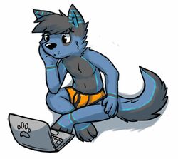  2015 anthro biped black_nose black_seam_underwear blue_body blue_ears blue_fur blue_tail boxers_(clothing) canid canine canis claws clothed clothing colored_seam_underwear crossed_legs fur gaokun grey_body grey_ears grey_fur grey_hair grey_inner_ear grey_tail hair male mammal monotone_hair multi_tone_tail multicolored_body multicolored_ears multicolored_fur orange_clothing orange_underwear solo tail toe_claws two_tone_ears underwear underwear_only wolf 