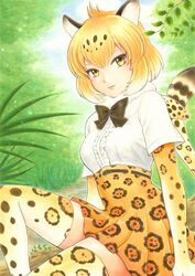  animal_ear_fluff animal_ears animal_print arms_at_sides belt black_bow black_bowtie black_hair blonde_hair bow bowtie breasts closed_mouth day double-parted_bangs dutch_angle elbow_gloves female fur_scarf gloves high-waist_skirt jaguar_(kemono_friends) jaguar_ears jaguar_print jaguar_tail jyan_borii kemono_friends knee_up light_smile lips looking_at_viewer medium_breasts medium_hair miniskirt multicolored_hair outdoors pleated_skirt print_gloves print_scarf print_skirt print_thighhighs scarf shirt shirt_tucked_in short_sleeves sitting skirt solo tail taut_clothes taut_shirt thighhighs white_hair white_shirt yellow_eyes zettai_ryouiki 