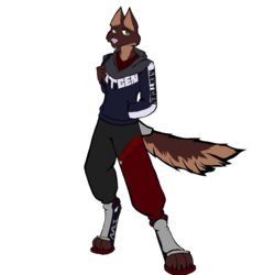  1:1 absurd_res alpha_channel anthro biohound bottomwear branded_clothing canid cheek_tuft clothing colored facial_tuft fluffy fluffy_tail footwear hi_res hoodie male mammal pants practice shoes solo sweatpants tail topwear tuft worldbuilding 