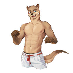  1:1 5_fingers abs anthro athletic athletic_anthro athletic_male band-aid bandage black_nose blue_eyes bottomwear brown_body brown_fur clothed clothing fingers fist fur hi_res looking_at_viewer male mammal mustelid nipples open_mouth otter pants pecs simple_background solo standing tail topless topless_male tuft white_background white_bottomwear white_clothing white_pants wizper_baobao 