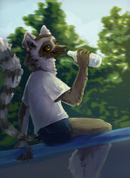  anthro biped blue_bottomwear blue_clothing bottle bottomwear clothed clothing container digital_media_(artwork) digital_painting_(artwork) dutch_angle female fully_clothed holding_water_bottle hotpants lemur looking_up mammal markings metal_bar outside plant portrait primate relaxing ring_(marking) ringed_tail shirt shorts sitting sliderslut solo strepsirrhine striped_markings striped_tail stripes sunny t-shirt tail tail_markings three-quarter_portrait topwear tree water_bottle white_clothing white_shirt white_t-shirt white_topwear yellow_eyes 