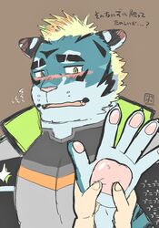  29_da2 anthro blonde_hair blue_body blue_fur blush duo embarrassed felid fur hair hi_res human lifewonders live_a_hero male mammal pantherine pawpads rexer squeezing_pawpads striped_body striped_fur stripes tiger 