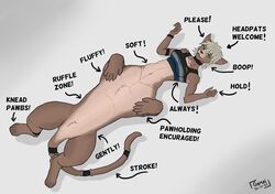  clothing collar cougar diagram english_text felid feline female fur gamal green_eyes hi_res how-to jewelry keemir_(gamal) mammal petting solo sprawled tan_body tan_fur taur text topwear 