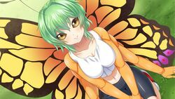  antennae artist_request bike_shorts blush breasts butterfly_girl chitin compound_eyes crop_top extra_arms female flare_(monster_musume) game_cg grass green_hair hair_intakes insect_wings medium_breasts medium_hair midriff monster_musume_no_iru_nichijou monster_musume_no_iru_nichijou_online navel official_art outdoors red_footwear seiza shoes sitting smile sneakers tank_top white_tank_top wings yellow_eyes 