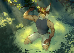  2022 aidan_(sryer) anthro clothed clothing eurasian_lynx felid feline light light_beam lynx male mammal nature nature_background plant smile solo sunbeam sunlight yan_raevsky yellow_eyes 