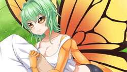  1boy antennae arm_hug artist_request bike_shorts blush breasts butterfly_girl chitin compound_eyes crop_top extra_arms female flare_(monster_musume) game_cg grass green_hair hair_intakes insect_wings medium_breasts medium_hair midriff monster_musume_no_iru_nichijou monster_musume_no_iru_nichijou_online official_art smile tank_top white_tank_top wings yellow_eyes 