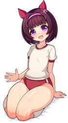  absurdres animal_ears blunt_bangs blush brown_hair buruma collarbone ear_covers female gician_l gym_shirt hair_ornament hairband highres horse_ears horse_girl looking_at_viewer nishino_flower_(umamusume) open_mouth pink_hairband purple_eyes red_buruma seiza shirt short_hair short_sleeves sitting smile socks thighs tracen_training_uniform umamusume white_background white_shirt white_socks x_hair_ornament 
