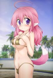  :o animal_ear_fluff animal_ears bikini blush breasts closed_mouth commentary_request dog_days dog_ears dog_girl dog_tail female gold_bikini groin highres koyomisa large_breasts millhiore_f._biscotti pink_hair pink_tail purple_eyes smile solo standing swimsuit tail tail_raised 