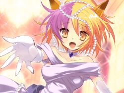  alice_parade animal_ears catgirl tagme 