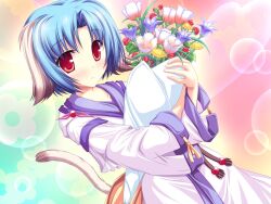  animal_ears blue_hair flowers haruhi_sarasa inakoi red_eyes tagme tail 