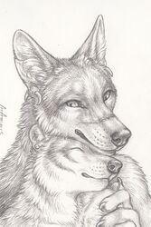  2015 anthro arctic_fox canid canine canis claws closed_eyes coyote cuddling detailed detailed_fur duo ear_piercing fox fur greyscale looking_down male mammal monochrome piercing puquanah ransom romantic romantic_couple rukis simple_background smile traditional_media_(artwork) true_fox white_background 