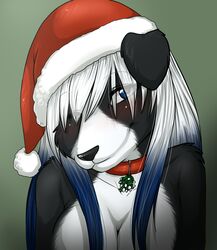  ajna anthro blue_eyes blush border_collie breasts canid canine canis christmas christmas_clothing christmas_headwear cleavage clothed clothing collar collie domestic_dog female hat headgear headwear herding_dog holidays janice_carter mammal mistletoe one_eye_closed pastoral_dog plant santa_hat sheepdog solo 