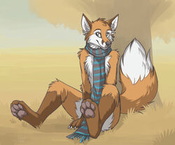  20 2010 anthro avoid_posting canid canine fox hindpaw keihound male mammal orange_fox_(sage) outside paws plant scarf sitting solo tree warm_colors wood 