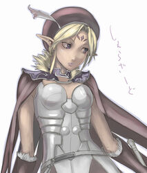  elf female pointy_ears scheherazade_(soulcalibur) solo soulcalibur soulcalibur_iv tea_(nakenashi) upper_body 