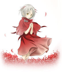  .hack// .hack//ai_buster artist_request dress female flower grey_hair holding holding_flower lycoris_(.hack//) multicolored_hair own_hands_clasped own_hands_together petals red_dress red_flower robe short_hair smile solo spider_lily streaked_hair wind yellow_eyes 