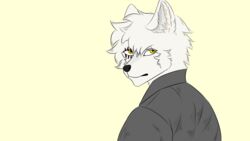  16:9 anthro canid canine canis eye_scar facial_scar fur hi_res kiooma_(fursona) looking_at_viewer lycan_oskari male mammal scar solo white_body white_fur widescreen wolf 