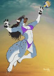  2019 abs action_pose anthro austeria ball bikini black_hair canid canine canis cheek_tuft claws clothed clothing facial_tuft female fluffy fluffy_tail fur gloves_(marking) hair hi_res highleg_bottomwear inner_ear_fluff jumping leg_markings mammal markings muscular muscular_anthro muscular_female navel pawpads ponytail pose purple_eyes richard_foley simple_background skimpy smile socks_(marking) solo sport spots spotted_body spotted_fur swimwear tail toe_claws tuft volleyball volleyball_(ball) wolf 