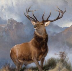  1851 19th_century absurd_res ancient_art antlers brown_body brown_eyes brown_fur cervine cloud day deer detailed_background edwin_henry_landseer feral fur grass hi_res horn huge_filesize male mammal mountain oil_painting_(artwork) outside painting_(artwork) photorealism plant realistic red_deer sky solo traditional_media_(artwork) 