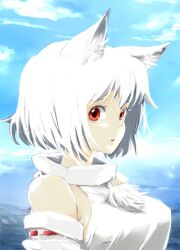  animal_ears bad_id bad_pixiv_id detached_sleeves female inubashiri_momiji lefthand no_headwear red_eyes solo touhou upper_body white_hair wolf_ears 