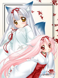  2girls animal_ears bow chihaya_(clothing) fox_ears fox_tail grey_hair hakama hakama_skirt japanese_clothes long_hair miko momoyuki_(snow_fox) multiple_girls nakajima_konta pink_hair red_hakama setsuka_(snow_fox) skirt snow_fox tail variant_set web_address 