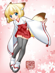  adapted_uniform animal_ears blonde_hair female fox_ears fox_tail hakama hakama_short_skirt hakama_skirt happy japanese_clothes koyuki_(snow_fox) miko nakajima_konta red_hakama skirt snow_fox solo tabi tail thighhighs variant_set web_address zettai_ryouiki 