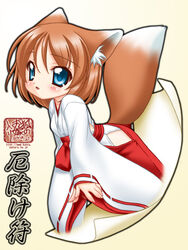  animal_ear_fluff animal_ears blue_eyes brown_hair female fox_ears fox_girl fox_tail hair_between_eyes hakama hakama_skirt japanese_clothes lolicon looking_at_viewer miko nagi_(snow_fox) nakajima_konta red_hakama simple_background skirt snow_fox solo tail variant_set web_address 