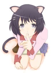  animal_ears black_eyes black_hair cat_ears cat_tail commentary_request female hanekawa_tsubasa juliet_sleeves long_sleeves monogatari_(series) naoetsu_high_school_uniform nisemonogatari peanuts_(ennuim) puffy_sleeves school_uniform short_hair solo tail 