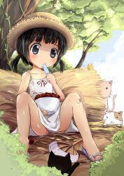  arm_up bad_id bad_pixiv_id bandaid bandaid_on_knee bandaid_on_leg bird black_hair blue_sky blush bowl cloud day drinking_straw feline female food grey_eyes hair_ribbon hand_fan hat ice_cream_cone nature original outdoors plant ribbon sakuraba_hikaru_(loveindog) shiny_skin short_hair sitting skirt sky solo spread_legs straw_hat tree twintails vines white_skirt 