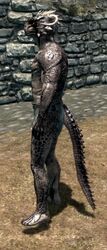  andromorph andromorph/female argonian bethesda_game_studios elder female intersex intersex/female microsoft scalie scroll skyrim the_elder_scrolls 