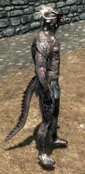  andromorph andromorph/female argonian bethesda_game_studios elder female intersex intersex/female microsoft scalie scroll skyrim the_elder_scrolls 