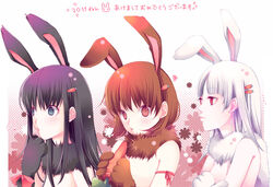  3girls animal_ears ari_(pixiv) black_hair brown_hair bunny_ears carrot female gensou_suikoden gensou_suikoden_i gensou_suikoden_ii gensou_suikoden_iii gensou_suikoden_iv gensou_suikoden_v gloves hair_ornament multiple_girls nanami nanami_(suikoden) paws short_hair sierra_mikain silver_hair suikoden_i suikoden_ii suikoden_iii suikoden_iv suikoden_v viki 