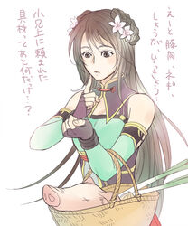  bad_id bad_pixiv_id bare_shoulders basket brown_eyes brown_hair check_translation commentary_request detached_sleeves female fingerless_gloves flower gloves guan_yinping hair_flower hair_ornament kijinkutsu long_hair onion pig_head shin_sangoku_musou shin_sangoku_musou_7 solo spring_onion translated translation_request 