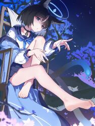  animal_ears bare_legs barefoot black_choker black_hair blue_archive blue_eyes blue_halo blue_neckerchief blue_skirt cat_ears cat_tail chinese_commentary choker closed_mouth commentary_request dream_of_pears feet female foot_focus foreshortening halo haori highres japanese_clothes kikyou_(blue_archive) knee_up legs looking_at_viewer multiple_tails nail_polish neckerchief night night_sky outdoors pleated_skirt school_uniform serafuku shirt short_hair sitting skirt sky soles solo string_around_finger tail toe_scrunch toenail_polish toenails toes tree white_shirt 