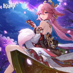  absurdres animal_ears backless_outfit backless_shirt bare_back bare_shoulders breasts cherry_blossoms comb commentary_request detached_sleeves female fox_ears genshin_impact highres holding holding_comb long_hair long_sleeves looking_at_viewer medium_breasts night night_sky official_art outdoors parted_lips petals pink_hair purple_eyes red_skirt shirt sitting skirt sky solo very_long_hair white_shirt yae_miko 