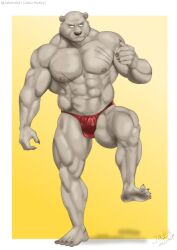  abs anthro bear brown_bear clothing grizzly_bear hi_res jabuhusky male mammal muscular muscular_anthro muscular_male nipples pecs scar solo thong underwear ursine 