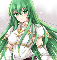  armor belt blush breastplate closed_mouth erinys_(fire_emblem) female fire_emblem fire_emblem:_genealogy_of_the_holy_war green_eyes green_hair kirishima_riona long_hair looking_at_viewer shoulder_armor simple_background smile snow solo upper_body 