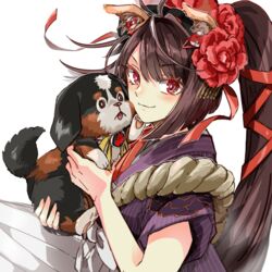  ahoge animal animal_ears apron bernese_mountain_dog blush breasts brown_hair canine checkered_clothes checkered_kimono commentary dog_ears fate/grand_order fate_(series) female floral_print flower grey_kimono hair_flower hair_ornament hair_ribbon holding holding_animal holding_dog japanese_clothes kimono kyokutei_bakin_(fate) kyokutei_bakin_(first_ascension)_(fate) long_hair looking_at_viewer medium_breasts multicolored_clothes multicolored_kimono peony_(flower) ponytail red_eyes red_flower red_kimono red_ribbon ribbon rope short_sleeves smile solo sousuke_(fate) tekuteku_aruko very_long_hair white_background 