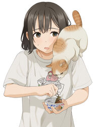  animal_on_shoulder animal_print artist_name bird_print black_hair brown_eyes can cat_on_shoulder feline female mattaku_mousuke medium_hair open_mouth opening_can original shirt simple_background sweatdrop t-shirt upper_body watermark white_background 